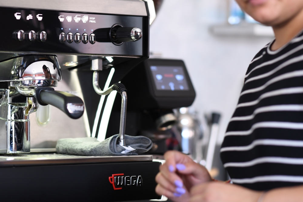 Wega Espresso Machine